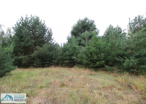 Działka Gąsawa - Piastowo 