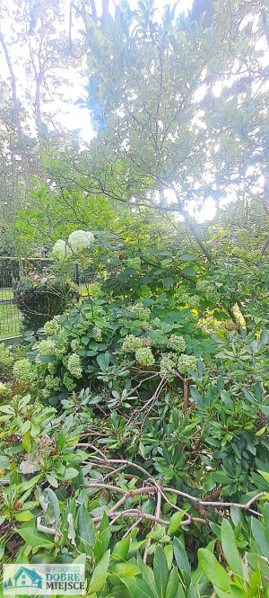 Dom Koronowo (gw) - Samociążek 2-pokojowe