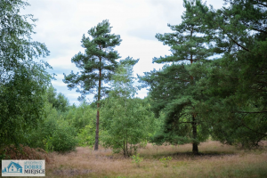 Działka Szubin (gw) - Stanisławka 